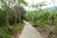 Väg på Koh Chang.