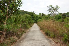 Väg på Koh Chang.