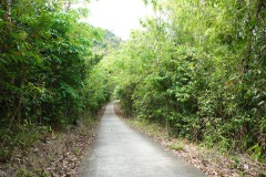 Väg på Koh Chang.