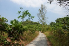 Väg på Koh Chang.