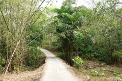 Väg på Koh Chang.