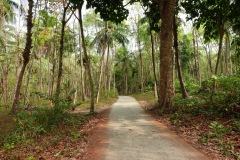 Väg på Koh Chang.