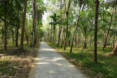 Väg på Koh Chang.