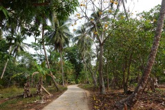 Väg på Koh Chang.