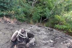 Rep längs leden, Ao Kai Tao nature trail, Koh Chang.