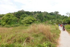 Moken-byn, Koh Phayam.