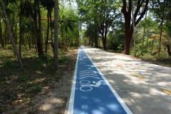 En av huvudvägarna på Koh Phayam.