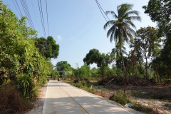 Vägen utanför Little Hut Bungalow, Koh Phayam.