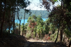 På väg genom djungeln från Clear Water Bay till M’Pai Bay, Koh Rong Sanloem.