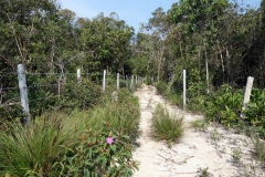 Skogspromenad ovanför M’Pai Bay Village, Koh Rong Sanloem.