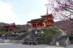 029-Kyoto-11-Mars-26