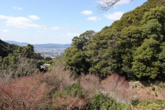 046-Kyoto-11-Mars-26