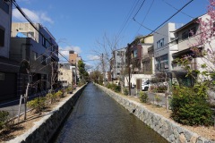 050-Kyoto-11-Mars-26