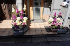 051-Kyoto-11-Mars-26