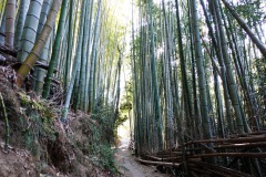 012-Kyoto-12-Mars-26_Pt1