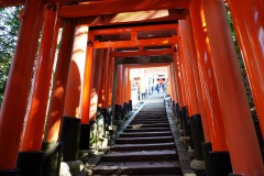 016-Kyoto-12-Mars-26_Pt1