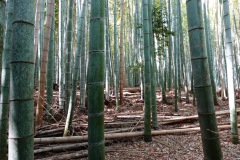 004-Kyoto-12-Mars-26_Pt2