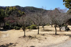 008-Kyoto-12-Mars-26_Pt2