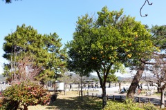 016-Kyoto-12-Mars-26_Pt2