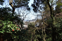 019-Kyoto-12-Mars-26_Pt2