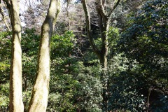 020-Kyoto-12-Mars-26_Pt2