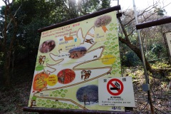 021-Kyoto-12-Mars-26_Pt2