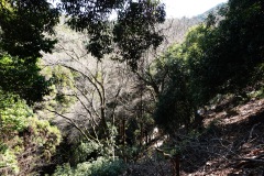 022-Kyoto-12-Mars-26_Pt2