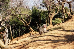 023-Kyoto-12-Mars-26_Pt2