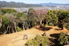 024-Kyoto-12-Mars-26_Pt2