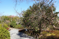 034-Kyoto-12-Mars-26_Pt2