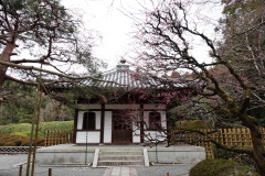 014-Kyoto-13-Mars-26