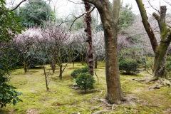 015-Kyoto-13-Mars-26