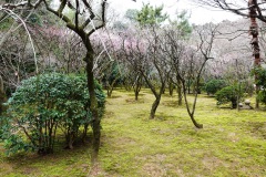 016-Kyoto-13-Mars-26