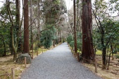 017-Kyoto-13-Mars-26