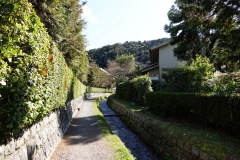 008-Kyoto-14-Mars-26