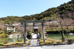 024-Kyoto-14-Mars-26