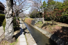 028-Kyoto-14-Mars-26