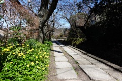 032-Kyoto-14-Mars-26