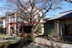 036-Kyoto-14-Mars-26