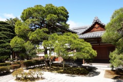 040-Kyoto-14-Mars-26