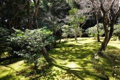 048-Kyoto-14-Mars-26