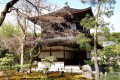 049-Kyoto-14-Mars-26