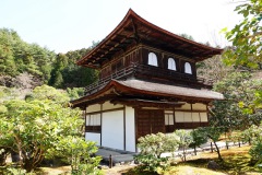 050-Kyoto-14-Mars-26