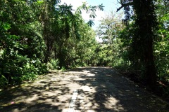 005-Lignon-18-Jan-25