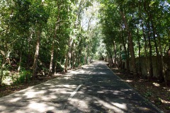 006-Lignon-18-Jan-25