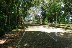 007-Lignon-18-Jan-25