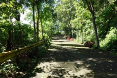 009-Lignon-18-Jan-25