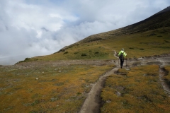 Peng tar täten temporärt längs trekken mellan Dingboche och Lobuche.