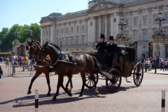 Häst och vagn med Buckingham Palace i bakgrunden.