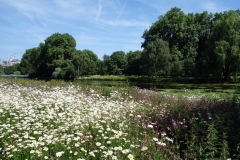 St James's Park Westminster.